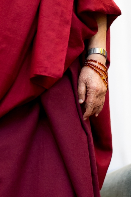 Dalai Lama, photo, Tim Steadman